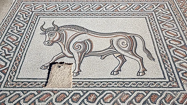 Milan's Bull Mosaic Restoration Sparks Controversy Over Missing Testicles
