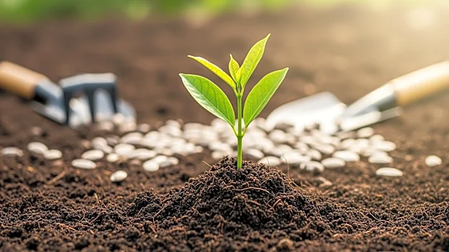 Consumers Energy Foundation's Grant Competition Aims to Revitalize Michigan Communities