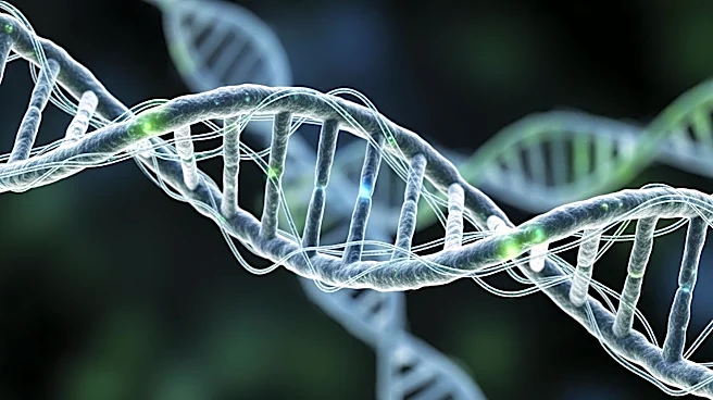 UMC Utrecht Researchers Discover RNA Splicing's Role in Immune Response, Paving Way for Targeted Therapies