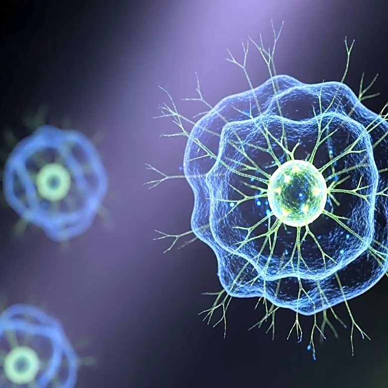 Stem Cell Advances in Parkinson's and Cancer Research