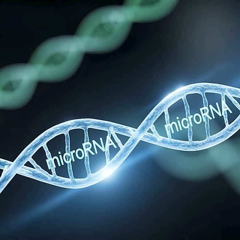 Researchers Identify microRNA-25 as Key to Overcoming Immunotherapy Resistance in Cancer