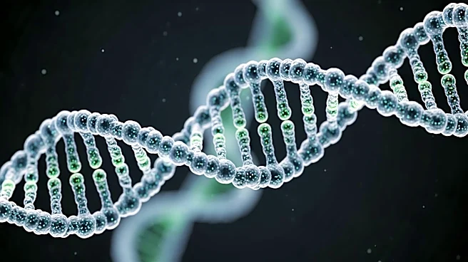 UMC Utrecht Researchers Discover RNA Splicing Mechanism Enhancing Immune Response