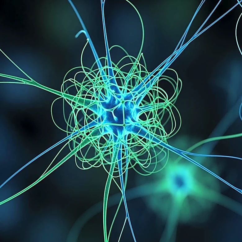 Scientists Identify Two Distinct Autism Subtypes Through Brain Connectivity Patterns
