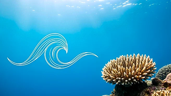 Novotel and WWF France Partnership Advances Ocean Conservation Efforts