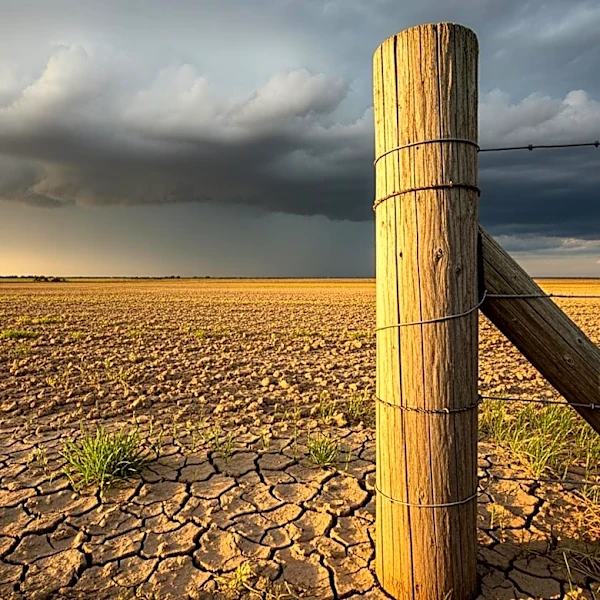 Farmers Face Rising Costs and Extreme Weather Challenges