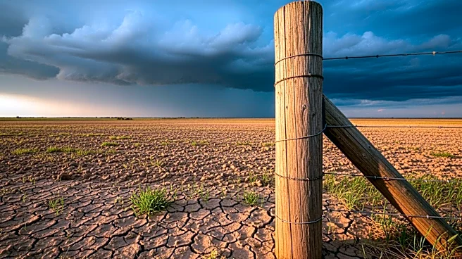 Farmers Face Rising Costs and Extreme Weather Challenges