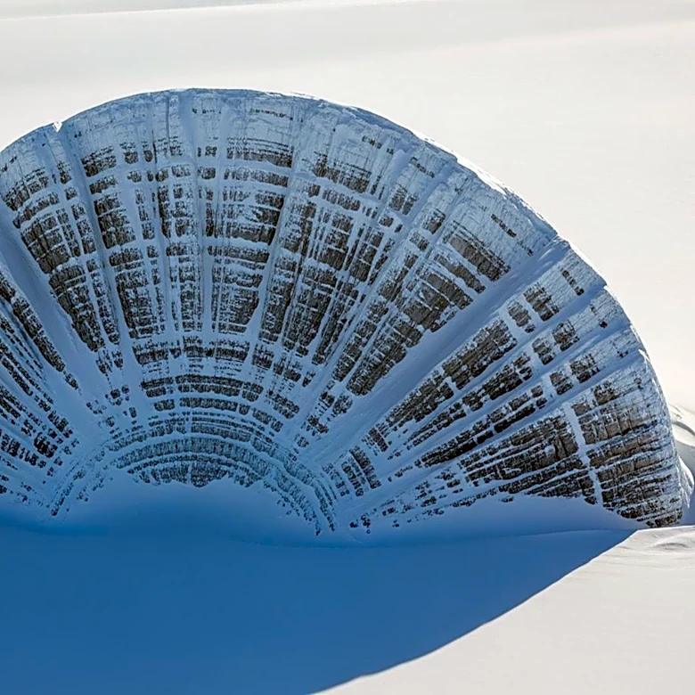 Discovery of Giant Fan-Shaped Structure Under East Antarctica Reveals Geological Insights