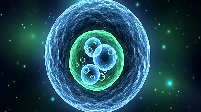 Discovery of Cannibalistic 'Supergiant' Microbe Challenges Understanding of Single-Cell Organisms