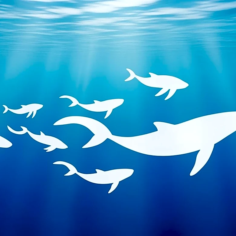 Canada and Marineland Reach Deal to Relocate 30 Beluga Whales to US and Europe