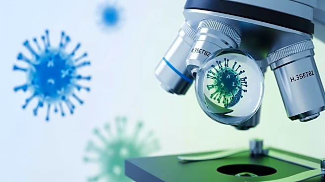 World Cup 2026: Health Officials Focus on Measles and Respiratory Viruses
