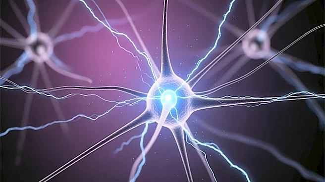 Neuroscientists Identify Brain's 'Disappointment Meter' Neurons Affecting Behavioral Change