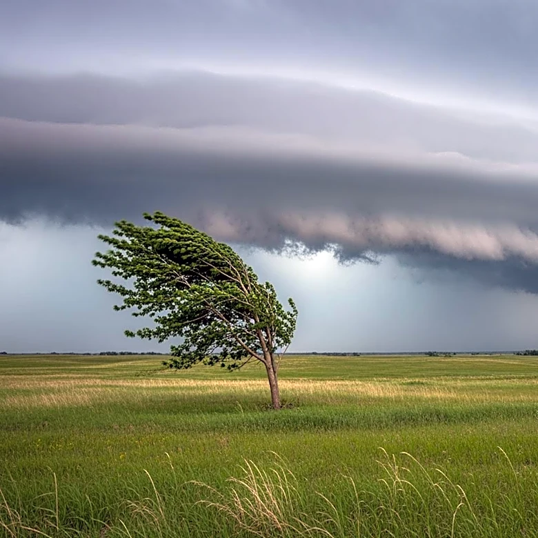 Minnesota Braces for Potential Severe Weather as Forecast Predicts Storms