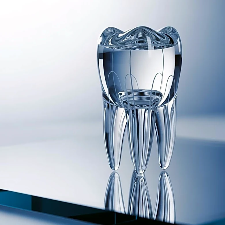 Toregem Biopharma Accelerates Human Trials for Tooth Regeneration