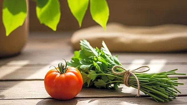 Slow Food Advocates for Sustainable Public Procurement to Transform Food Systems