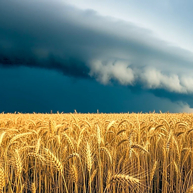 Study Reveals Shifting Hail Risk Toward Major Farming Regions Amid Climate Change