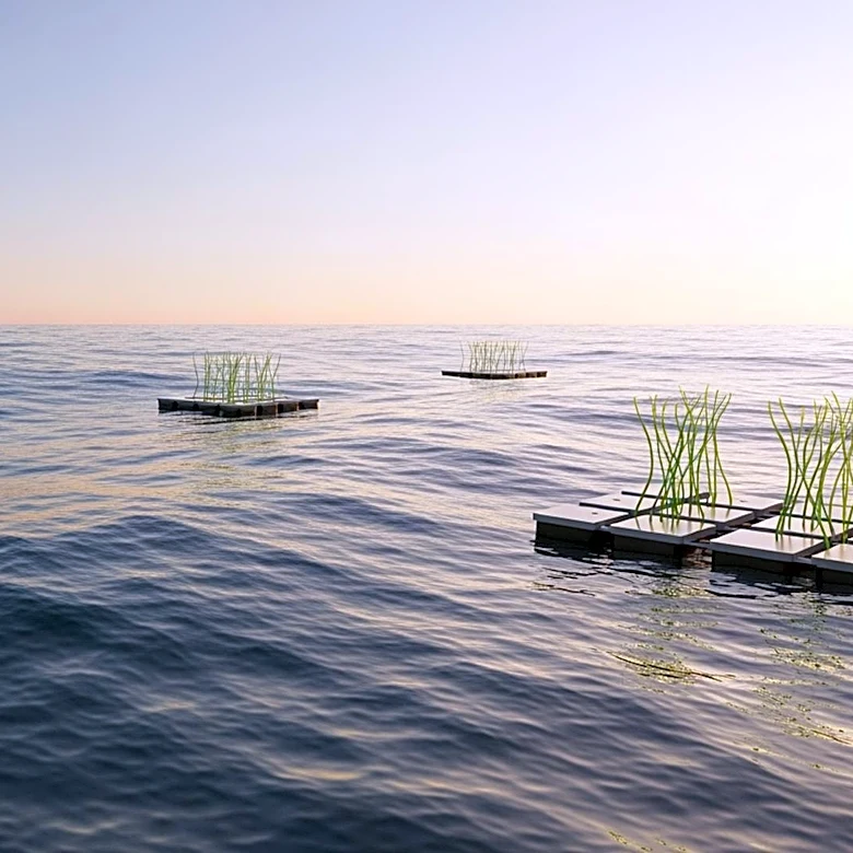 University of Rhode Island Hosts Conference on Regenerative Agriculture, Highlighting Ocean Farming