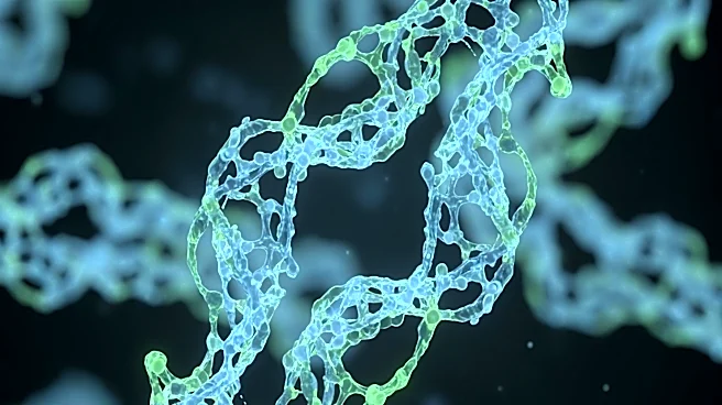 Rockefeller University Study Reveals New Insights into Antibody Generation in Germinal Centers