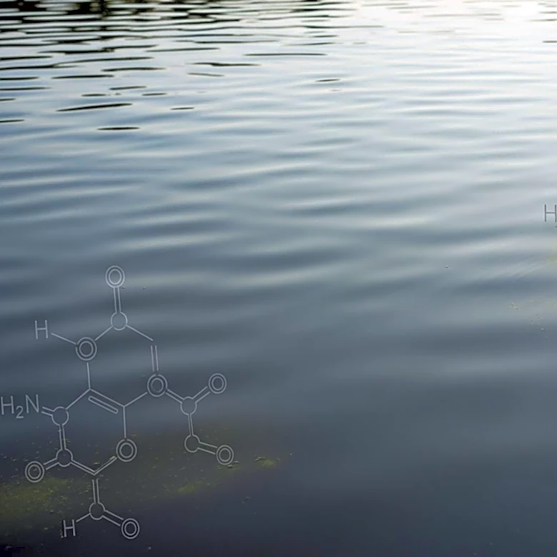 California Waterways Contaminated with Pfas Pesticides, Legislative Action Stalls