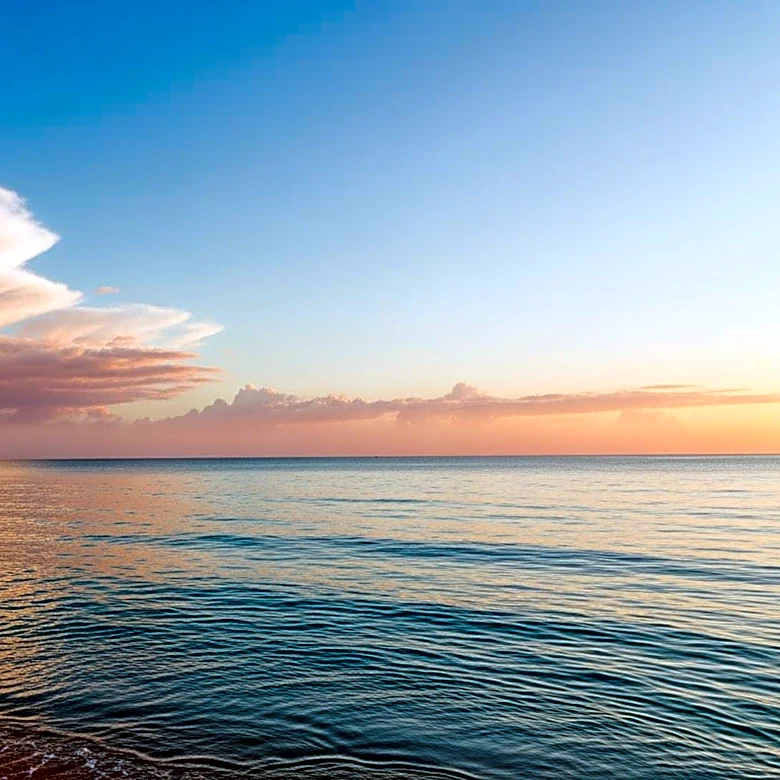 South Florida to Experience Lower Rain Chances Before Showers Return Next Week