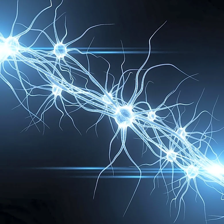 New Algorithm Inspired by Astrocytes Achieves Breakthrough in Drift Detection