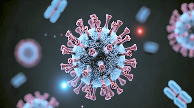 U.S. Measles Cases Exceed 2,000 for Second Consecutive Year, Threatening Elimination Status