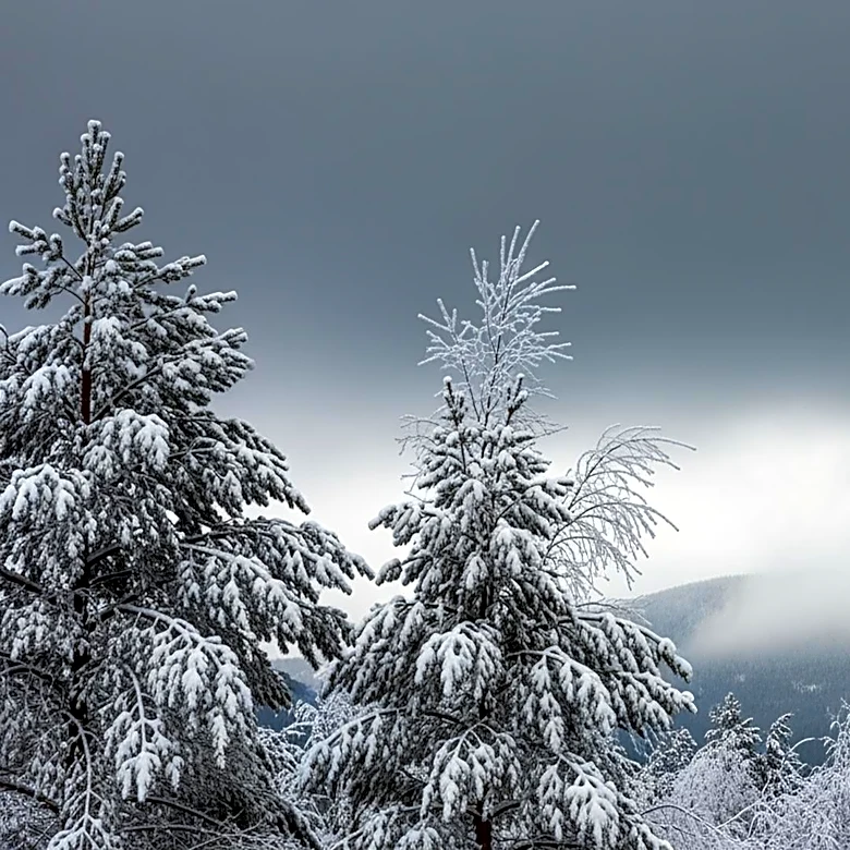 National Weather Service Issues Heavy Snow and Frost Warnings Across Western U.S.