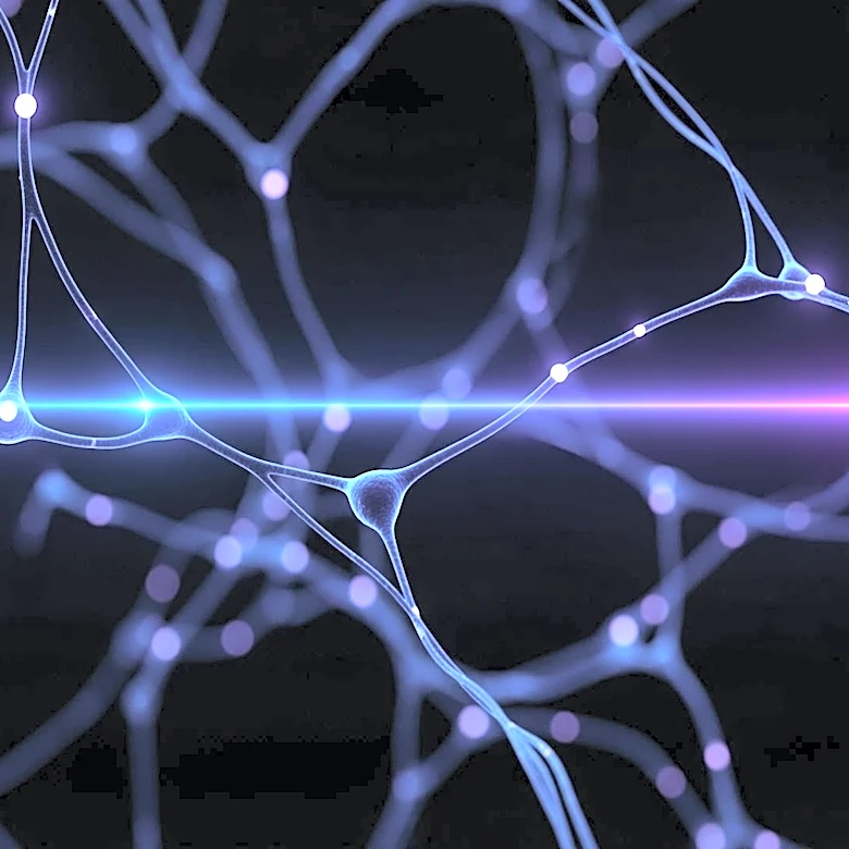 Study Reveals New Insights into Consciousness Through Neuronal Mapping