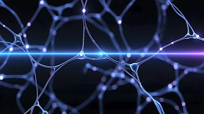 Study Reveals New Insights into Consciousness Through Neuronal Mapping