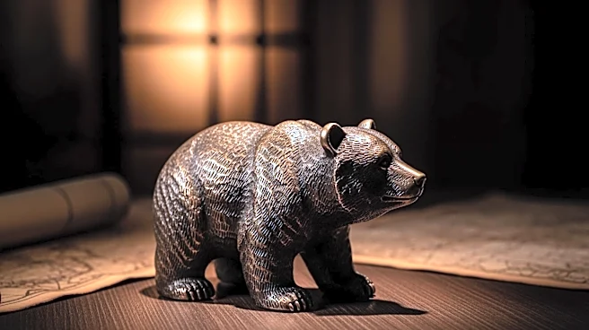 The Mossad's Secret Bear: A Kurdish Gift Becomes an Israeli Mystery