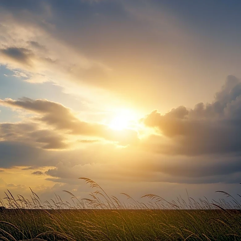 Meteorologist Lisa Meadows Predicts Heat and Humidity for Twin Cities with Storms on the Horizon