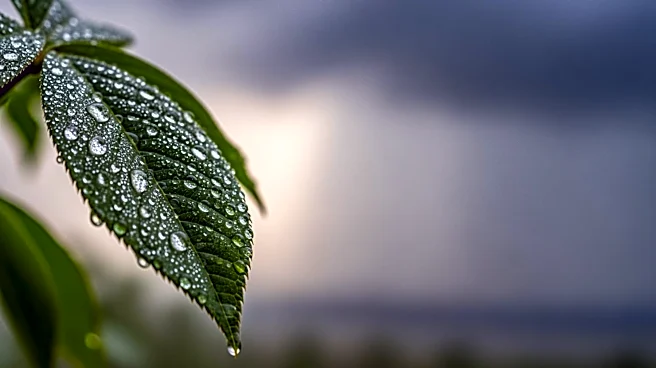 Minnesota Issues Air Quality Alert Amid Rising Humidity and Storm Forecast
