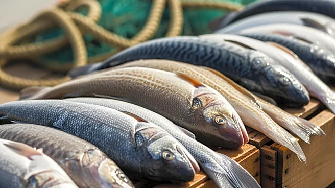San Diego Fishermen Boost Local Seafood Sales at Tuna Harbor Dockside Market