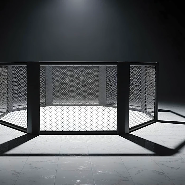 Lawsuit Seeks to Halt President Trump's UFC Match on White House Lawn
