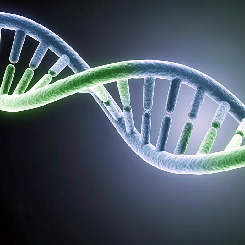 Study Reveals New Genetic Links and Health Implications of Endometriosis