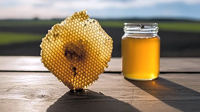 USDA Reorganization Strains American Agriculture with Bee Lab Closure