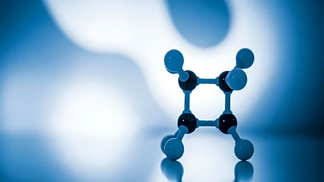 Study Shows Apitegromab Preserves Lean Mass During Weight Loss in U.S. Trial