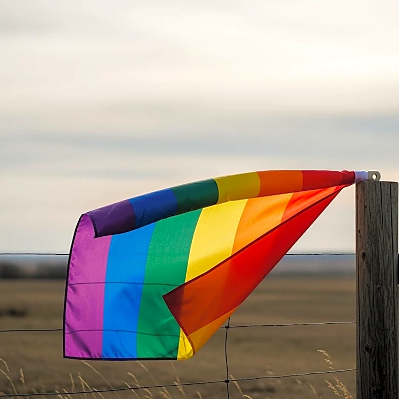 Utah Lawmaker Defends Pride Flag Display Amid State Ban
