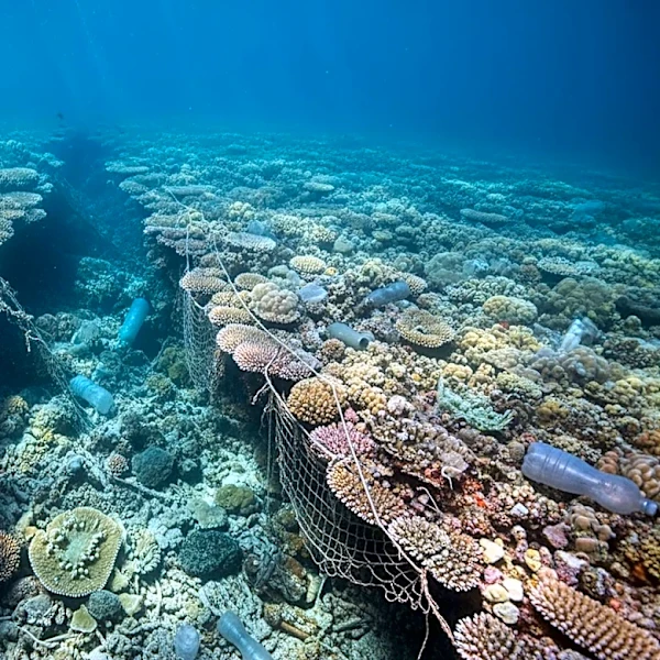 UN Report Highlights Ocean Crisis Due to Climate Change and Pollution