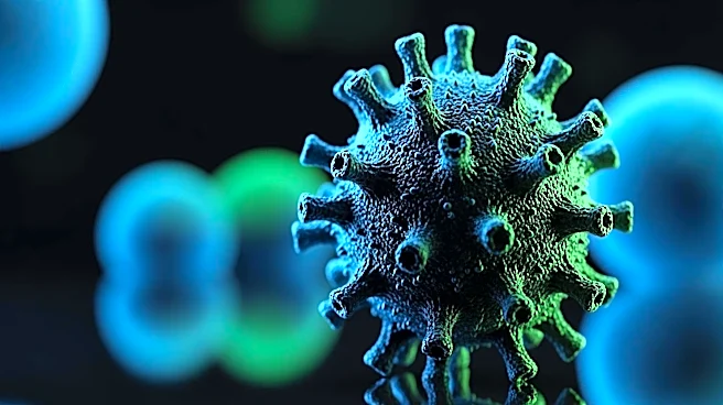 Bundibugyo Virus Outbreak in Congo and Uganda Escalates, Prompting International Response