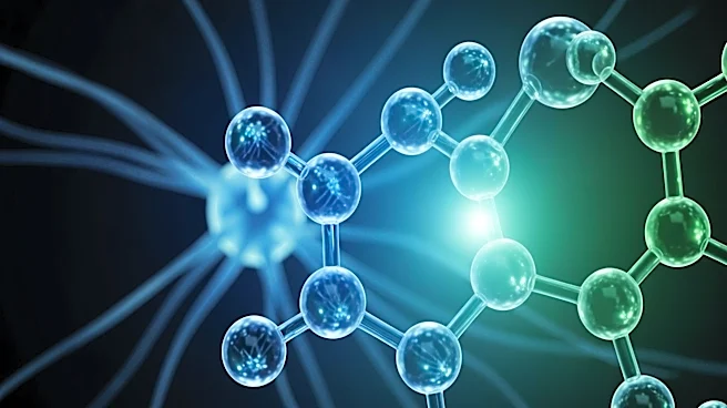 University of Florida Study Links Glucosamine to Accelerated Dementia Progression