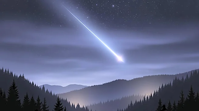 Meteor Streaks Across Pacific Northwest Sky, Captivating Hundreds