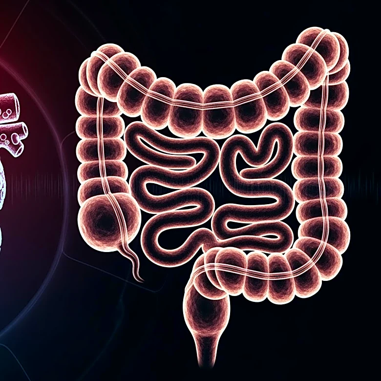 New Research Links Gut Microbes to Heart Disease Risk in Sleep Apnea