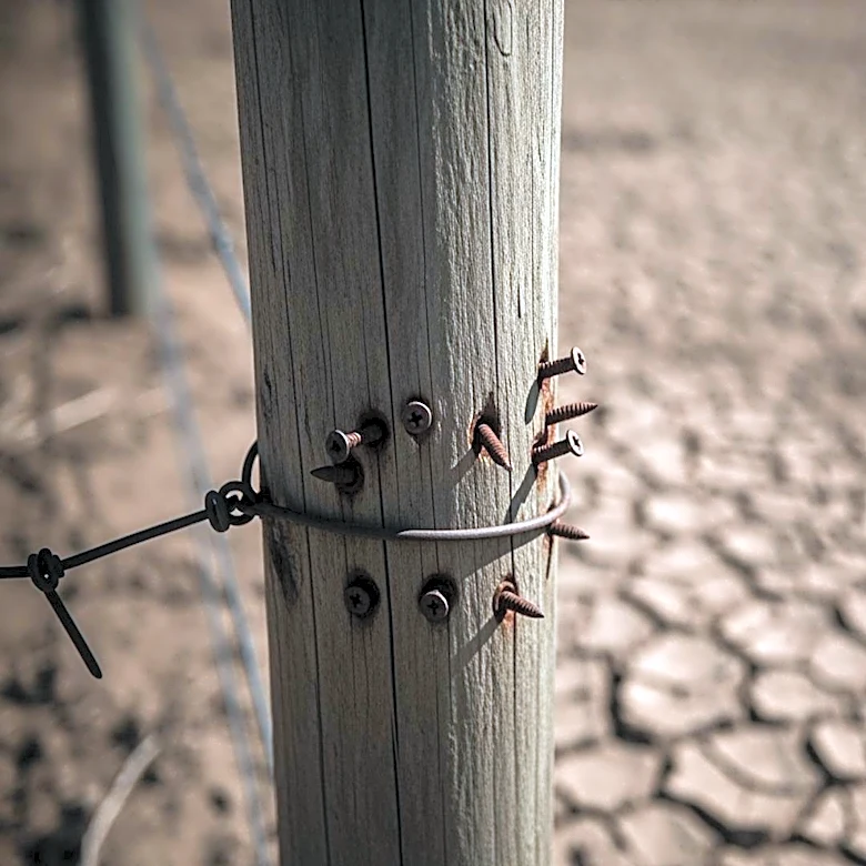 Screwworm Outbreak in Texas District Lacks Congressional Representation, Impacting Ranchers