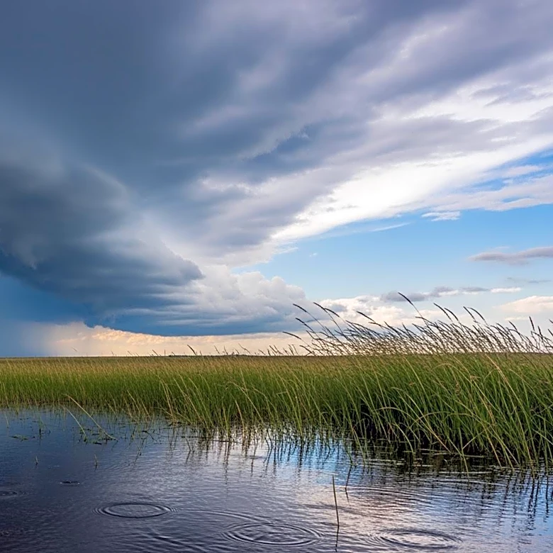 Minnesota Weather Forecast: Storms Expected to Weaken, Bringing Rain and Winds