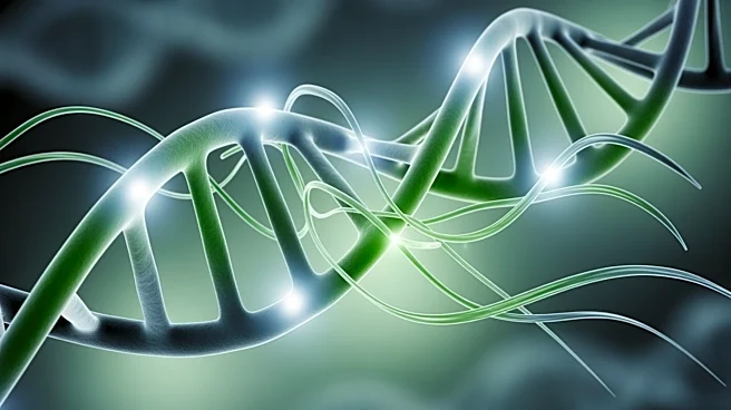 Research Identifies mRNA Tails as Key in Protein Folding, Impacting Regulatory Protein Function