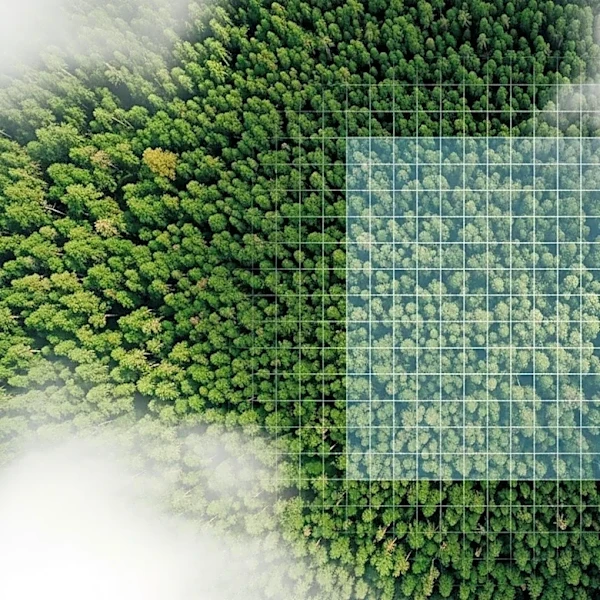 DeKalb County Extends Moratorium on New Data Centers Amid Environmental Concerns