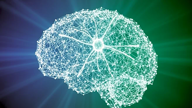 Proactive Brain Training Enhances Community Resilience, Study Finds