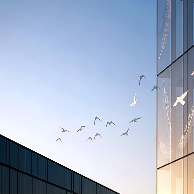 Chicago Architecture Center Showcases Bird-Safe Building Designs