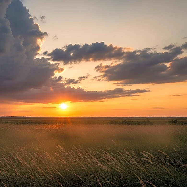Southeast Michigan Under Heat Advisory and Storm Threat