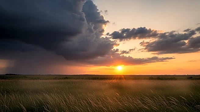 Southeast Michigan Under Heat Advisory and Storm Threat